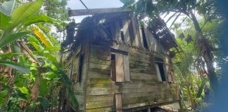 Parah!, 10 Tahun Rumah Gubuk Reot Ditempati Supiana Ali, Pemkab Aceh Timur Hanya Bisa Tutup Mata Atas Kemiskinan Warganya