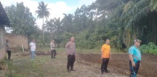 Polsek Tanah Jawa Persiapkan Lahan Ketapang Dukung Program Ketahanan Pangan Presiden