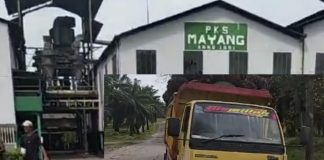 Lapor Pak Menteri BUMN, Truk Pengangkut TBS Tanpa Plat Bebas Keluar Masuk PKS dan Kebun, Manager PKS Layak Dicopot dari Jabatannya