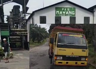 Lapor Pak Menteri BUMN, Truk Pengangkut TBS Tanpa Plat Bebas Keluar Masuk PKS dan Kebun, Manager PKS Layak Dicopot dari Jabatannya