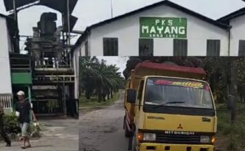 Lapor Pak Menteri BUMN, Truk Pengangkut TBS Tanpa Plat Bebas Keluar Masuk PKS dan Kebun, Manager PKS Layak Dicopot dari Jabatannya