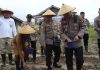Polres Natuna Dukung Ketahanan Pangan Nasional, Tanam Jagung di Lahan 1,5 Hektar