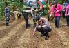 Wujud Nyata Ketahanan Pangan Nasional; Polres Anambas Gelar Penanaman Jagung Serentak 1 Juta Hektar