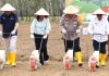 Wakil Bupati Simalungun hadiri penanaman Jagung serentak 1 juta Hektar di Kecamatan Gunung Malela