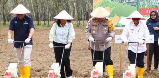 Wakil Bupati Simalungun hadiri penanaman Jagung serentak 1 juta Hektar di Kecamatan Gunung Malela