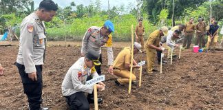 Polres Bersama Pemda Buton Tengah Laksanakan Penanaman Jagung Serentak Satu Juta Hektar untuk Dukung Swasembada Pangan Nasional