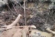 Bau Busuk Menyengat Ganggu Aktivitas Penambang Emas Ilegal Di Madina