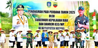 Tanam Perdana Padi di Natuna, Pemprov Kepri Perkuat Ketahanan Pangan