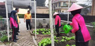 Kasat Binmas Polres Simalungun Perkuat Program Pekarangan Lestari Demi Ketahanan Pangan
