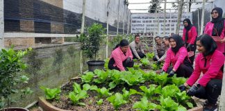 Dukung Ketahanan Pangan Nasional, Bhayangkari Cabang Simalungun Luncurkan Program Pekarangan Pangan Lestari
