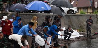 TNI AL Tebar 10 Ribu Benih Ikan Nila dan Tawas di Talago Koto Baru