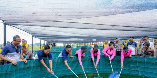 Polda Sumut Panen Lele Perdana Dukung Program Ketahanan Pangan