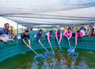 Polda Sumut Panen Lele Perdana Dukung Program Ketahanan Pangan