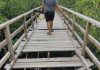 Jembatan Wisata Mangrove Pering di Natuna Rusak, Keindahan Alam Terancam Terabaikan