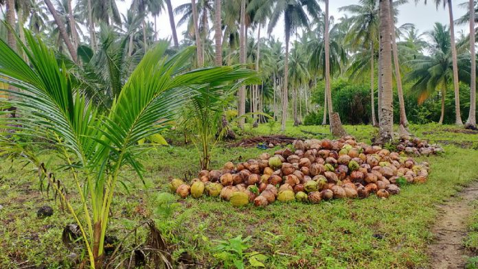 1666235896-picsay (1)