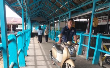 Dishub Lingga Tertibkan Parkir Sembarangan di Pelabuhan Jagoh Demi Kelancaran Akses