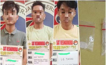 Satu Kali 24 Jam, Tim Satresnarkoba Polres Palas Ringkus dua Pelaku Pengedar dan Seorang Pengguna Sabu