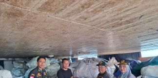 Balai KHIT Kepri Dukung Pemda Natuna Tingkatkan Daya Saing Kelapa, Sertifikasi dan Peremajaan Jadi Kunci Ekspor Berkualitas