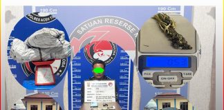 Sat Reskrim Polres Aceh Tengah Gagalkan Perdagangan Kulit Harimau Sumatra Lima Pelaku Ditangkap