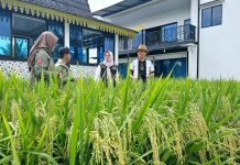 Bendahara PWI Kepri Buktikan Pers Dukung Ketahanan Pangan Nasional