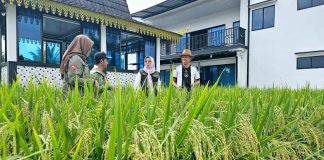 Bendahara PWI Kepri Buktikan Pers Dukung Ketahanan Pangan Nasional