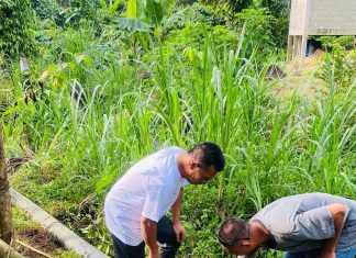 Bupati Anambas Aneng Tinjau Kondisi Air SPAM di Tarempa Selatan