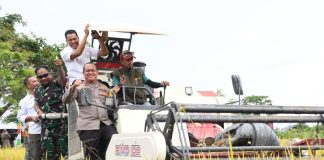 Wakapolres Aceh Timur Hadiri Panen Raya Padi di Madat