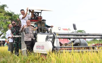 Wakapolres Aceh Timur Hadiri Panen Raya Padi di Madat