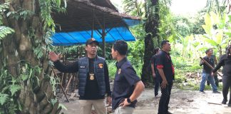 Polrestabes Medan Gerebek Lapak Judi Sabung Ayam di Pancur Batu, Lokasi Dibongkar dan Dibakar