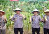 Sinergi Petani dan Polisi, Panen Raya Jagung Manis Warnai Ketahanan Pangan Kepri