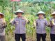 Sinergi Petani dan Polisi, Panen Raya Jagung Manis Warnai Ketahanan Pangan Kepri