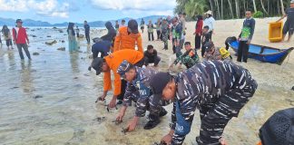 Prajurit Posal Serasan Bersama Forkopimcam Lepas 170 Ekor Tukik