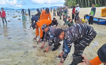 Prajurit Posal Serasan Bersama Forkopimcam Lepas 170 Ekor Tukik