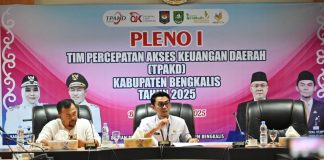 Bupati Bengkalis Harap TPAKD Lakukan Percepatan Akses Keuangan Daerah