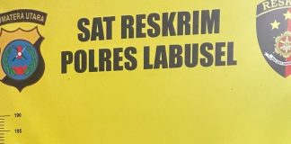 Polres Labusel Ungkap Kasus Pria Beristri Cabuli Tiga Gadis di Bawah Umur, Satu Korban Hamil