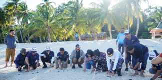 Peringati Hari Nelayan Nasional, Harbour Energy Gelar Edukasi Keselamatan Laut dan Lepas Tukik di Anambas