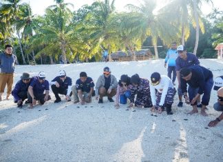 Peringati Hari Nelayan Nasional, Harbour Energy Gelar Edukasi Keselamatan Laut dan Lepas Tukik di Anambas