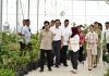Tinjau Taman Sains Teknologi Herbal dan Hortikultura, Wapres Gibran Apresiasi Inovasi Riset dan Hilirisasi Produk