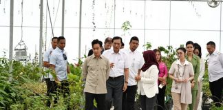 Tinjau Taman Sains Teknologi Herbal dan Hortikultura, Wapres Gibran Apresiasi Inovasi Riset dan Hilirisasi Produk