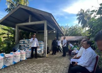 Bupati Aneng Salurkan Pupuk Bersubsidi untuk Petani di Tiga Kecamatan Anambas