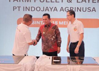 Gubernur Kepri Resmikan Peternakan JAPFA di Bintan, Awal Baru Menuju Swasembada Telur