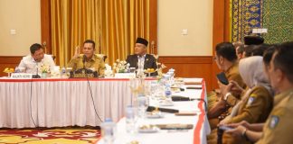 Gubernur Ansar Minta Dukungan Pengawasan Cegah Kejahatan Transnasional di Kepri