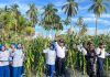 Dukung Program Ketahanan Pangan, Lanal Ranai Panen Jagung
