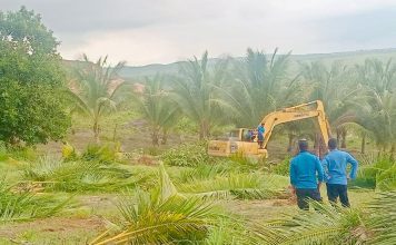 BP Batam Tegaskan Penertiban Lahan di Tanjung Banon Sesuai Prosedur Hukum