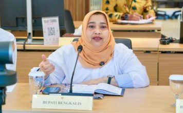 Bupati Kasmarni Sampaikan Langkah Strategis Kesehatan Bengkalis ke Menkes RI: Dari Pulau Rupat hingga Bukit Batu
