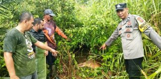 Kapolres Aceh Timur Imbau Warga Awasi Hewan Ternaknya