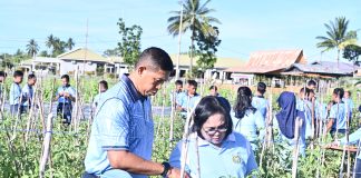 Panen Raya di Lanud RSA Natuna, Komitmen TNI AU Jaga Ketahanan Pangan