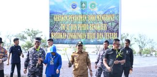 Dampingi Danlanal Dumai Menanam Mangrove, Wabup : Langkah Kongkret Menjaga Lingkungan
