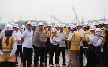 Wakil Kepala BP Batam Tinjau Persiapan Pengoperasian 4 STS Crane dari China