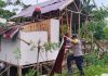 Personel Polsek Ranto Peureulak Bantu Tangani Rumah Warga yang Tertimpa Pohon